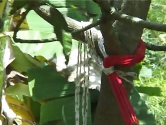 Cute Young Hunk Fucked In The Forest